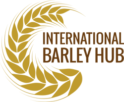 IBH logo